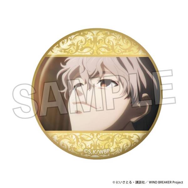 【4月予約】WIND BREAKER ギラギラ缶バッジ 19 キャラグッズ 4570155240850