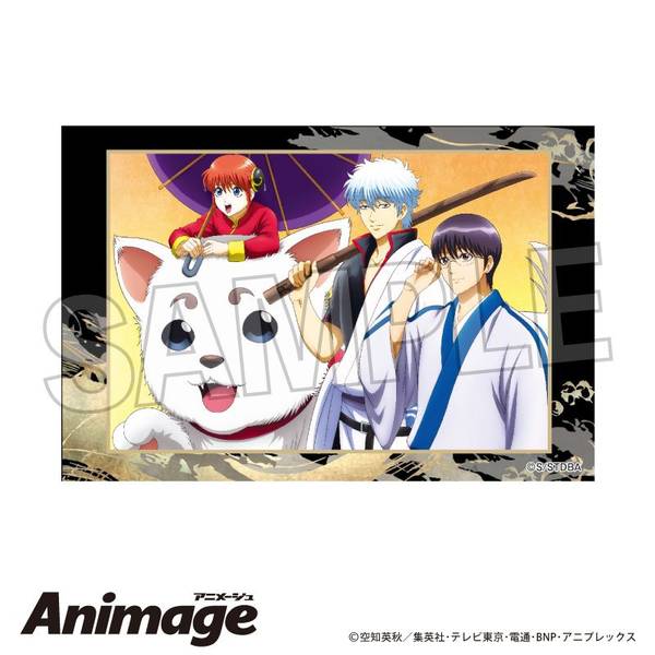 【5月予約】銀魂 積み積みブロック vol.2 5 キャラグッズ 4570155244704