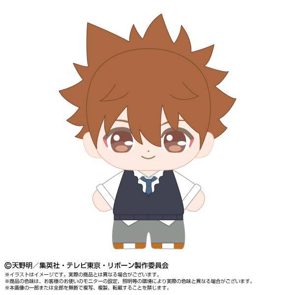【12月予約】家庭教師ヒットマンREBORN! ぷりぬいたっちどりーむみに 沢田綱吉 キャラグッズ 4571617934652