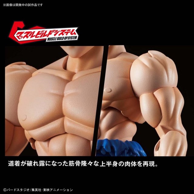 バンダイ Figure-rise Standard 孫悟空 身勝手の極意