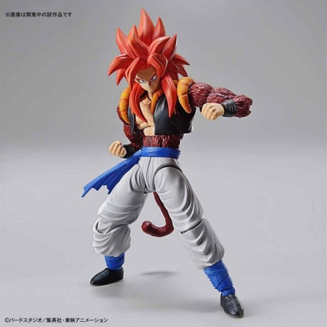 バンダイ Figure Rise Standard 超サイヤ人4ゴジータ ドラゴンボールgt より プラモデル ポスト ホビーwebshop