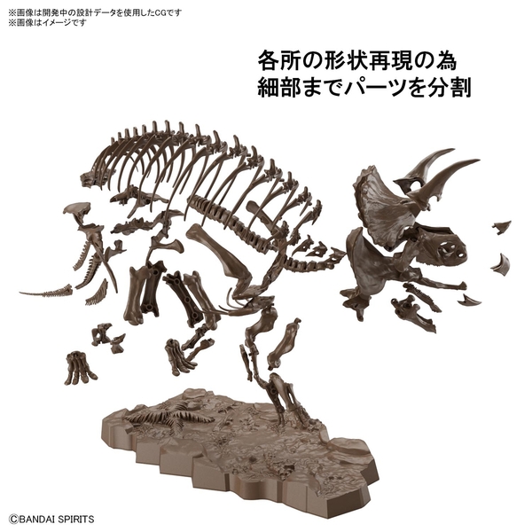 バンダイ 1/32 Imaginary Skeleton トリケラトプス スケール
