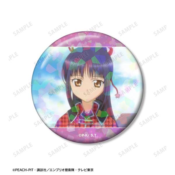しゅごキャラ ドロードロー くじ マット 缶バッジ 藤咲なでしこ 15点セット DRAW!DRAW!(ドロー！ドロー！)