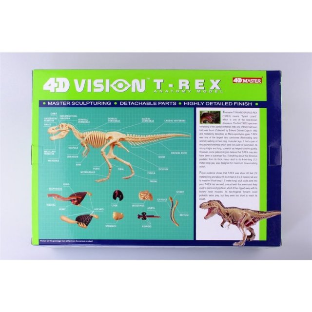 4D VISION 動物解剖 No.22 T-REX 解剖モデル 模型・プラモデル