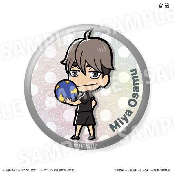 美音さま専用　新品未開封 10BOX ハイキュー 缶バッジ 大量 まとめ売り ハイキュー!! トレーディングラメ缶バッジ [全10種] 10個入BOX