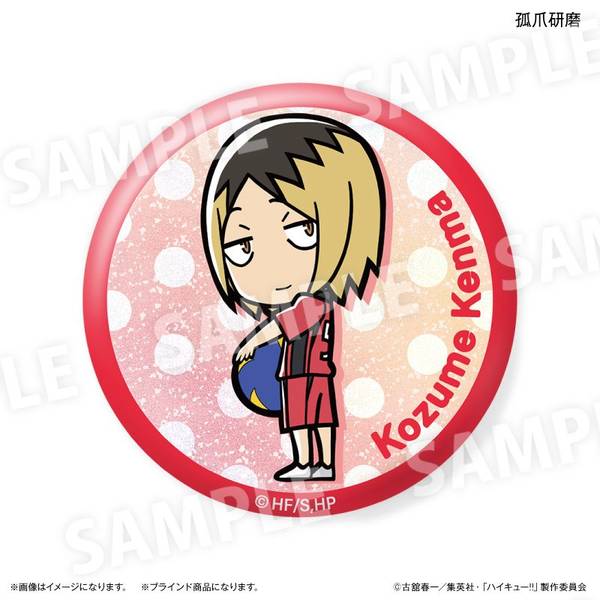 ハイキュー 缶バッジ ハイキュー!! 切り絵シリーズ vol.5 箔押し和紙缶バッジ - 株式