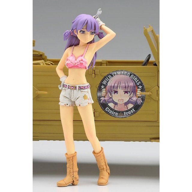 非売品 レア 秘宝伝 クレア 特大 フィギュア 置物 スロット 全長約40cm ハセガワ 1/24 ワイルドたまごガールズ No.02 Pkw.K1 キューベル