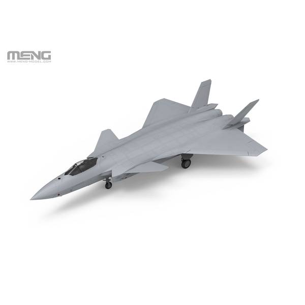 モンモデル 1/48 J-20 ステルス戦闘機 スケールモデル MLS002