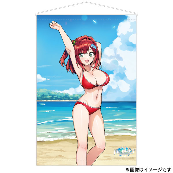 ドルフィンウェーブ B2タペストリー 咲宮入華 公式イラスト集Ver.