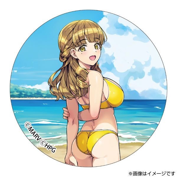 ドルフィンウェーブ ブラインド缶バッジ 公式イラスト集Ver.