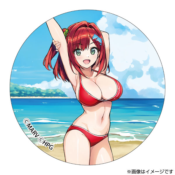 ドルフィンウェーブ ブラインド缶バッジ 公式イラスト集Ver.