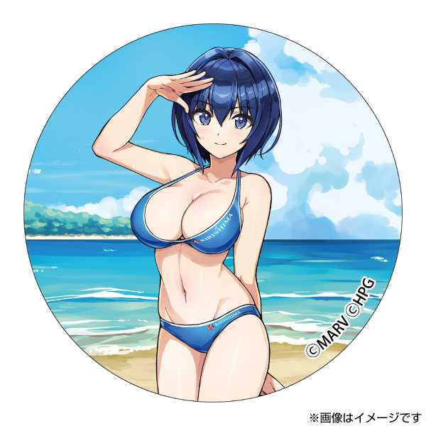 ドルフィンウェーブ ブラインド缶バッジ 公式イラスト集Ver.