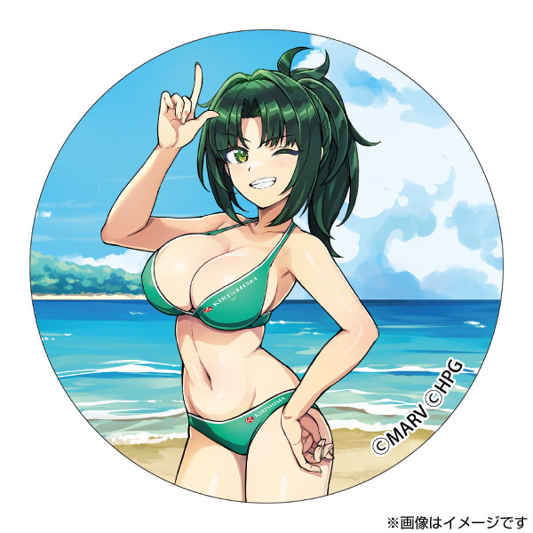 ドルフィンウェーブ ブラインド缶バッジ 公式イラスト集Ver.