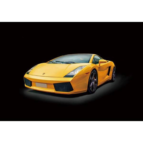 【2月予約】イタレリ 1/24 ランボルギーニ ガヤルド 日本語対訳補足説明書付属 スケールモデル IT3673JP