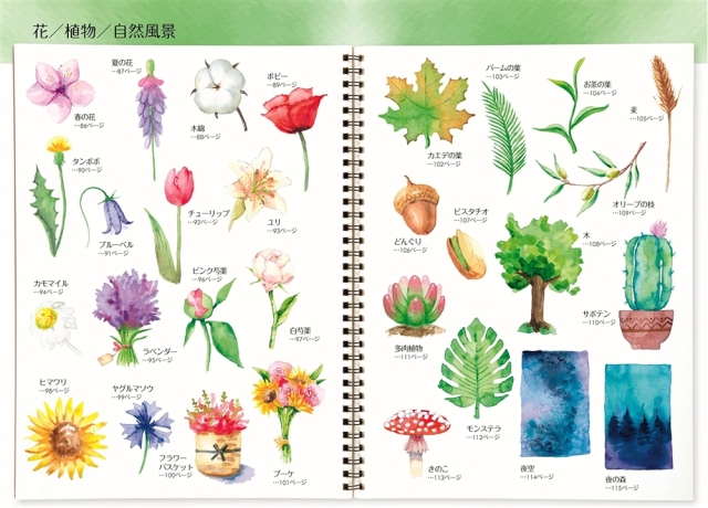 フルーツ・植物・お菓子からかわいい生き物まで かんたん！4ステップ水彩
