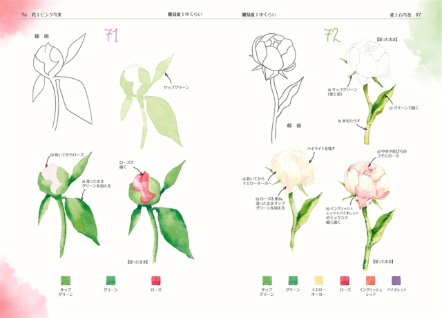フルーツ・植物・お菓子からかわいい生き物まで かんたん！4ステップ水彩