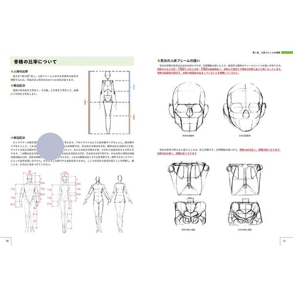 キャラクターの描き方マスターガイド 人体デッサンから