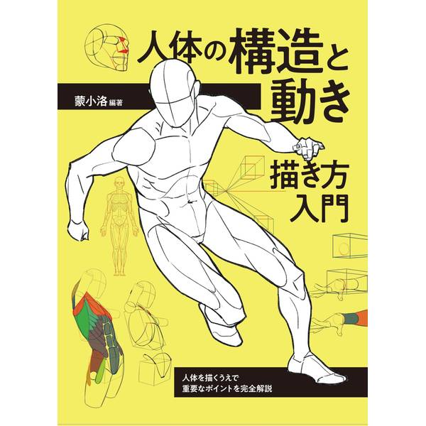 人体の構造と動き 描き方入門 人体を描くうえで重要なポイントを完全解説