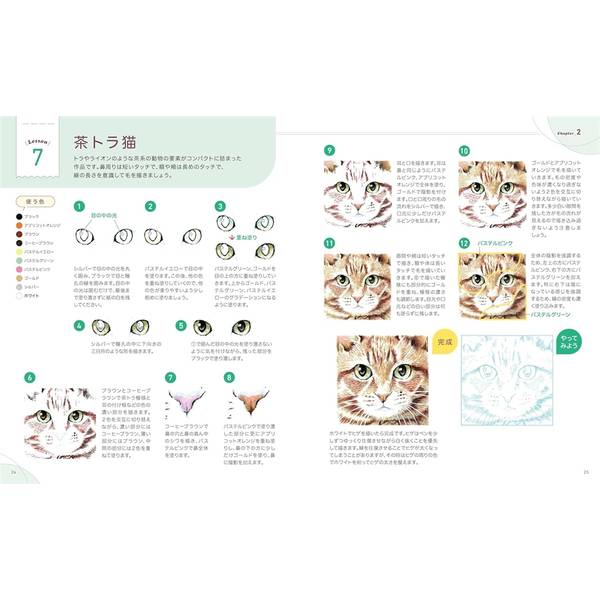 描き込み式リアルボールペン画レッスン　動物編