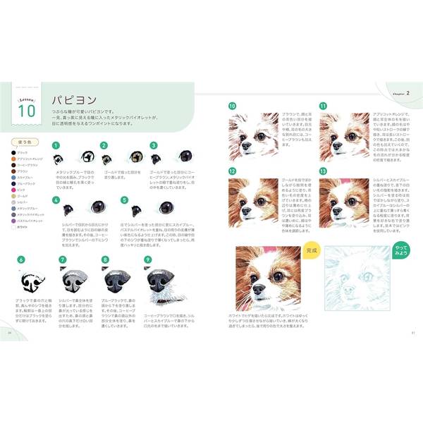 描き込み式リアルボールペン画レッスン　動物編