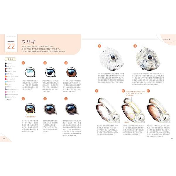 描き込み式リアルボールペン画レッスン　動物編