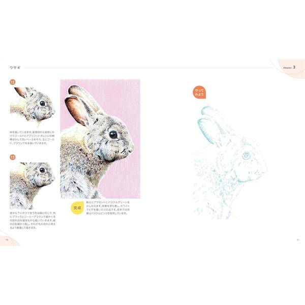 描き込み式リアルボールペン画レッスン　動物編