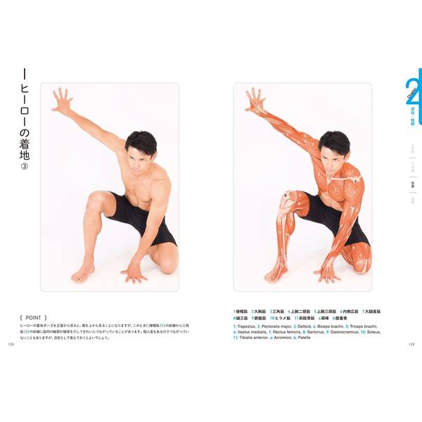 アーティストのための体表解剖学 ポーズごとに筋肉の位置と形を