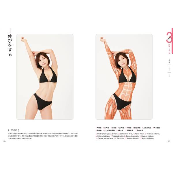 アーティストのための体表解剖学　ポーズごとに筋肉の位置と形を解説