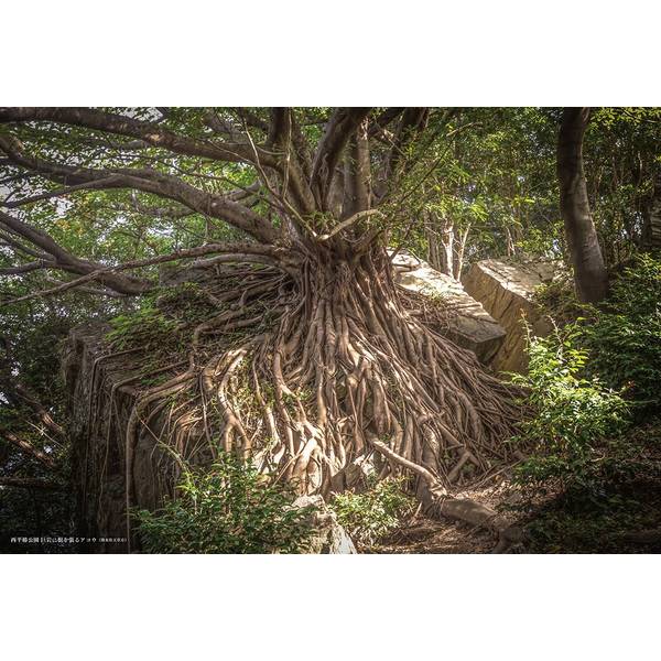 日本異世界百景