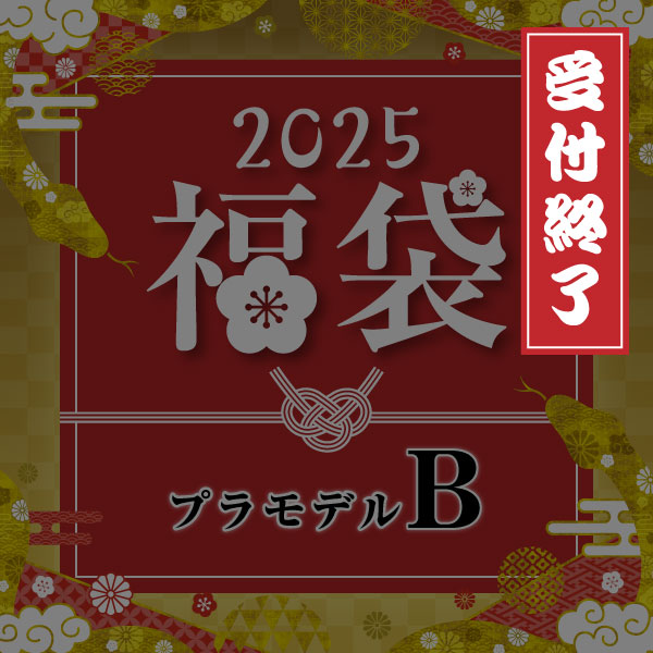 CUBEぎゃざ　プラモデル福箱2025 CUBEぎゃざ プラモデル福箱2025