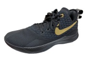 NIKELEBRONWITNESS3EP.jpg