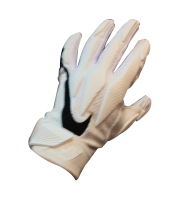 NIKE ナイキ  SUPERBAD 4.5