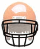 SCHUTT シャット　フェイスガード EGOPⅡ