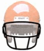 SCHUTT シャット　フェイスガード OPO-SW
