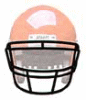 SCHUTT シャット　フェイスガード ROPO-ST