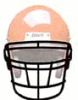 SCHUTT シャット　フェイスガード RJOP-DW