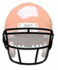 SCHUTT シャット　フェイスガード ROPO-SW