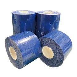 マッスルキネシオブルー