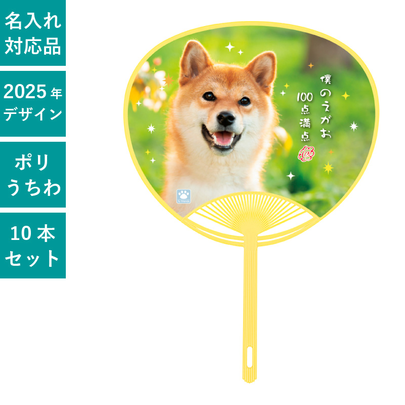 [最安値]ディノ FOLLOW うちわ まとめ売り seventeen セブチ ディノ うちわ まとめ売り セット トレカ 過去