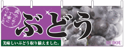 NK-2830　横幕/ぶどう