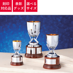 表彰グッズ