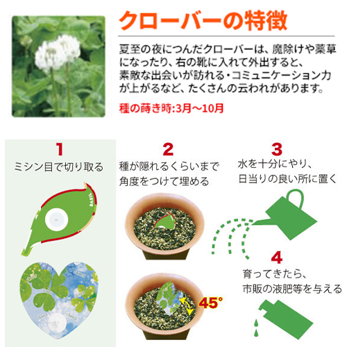 クーポン利用で Off 種付き 22年 1色名入れ 300部 卓上カレンダー 企業名 スーパーsale 団体名 社名 オリジナル 令和4年 ご挨拶 年末年始 ノベルティ 販促 Nzb1508 箔押し名入れ W180 H155mm クローバー Nz 508 300