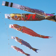 ピカピカ太郎6m鯉のぼり5点(鯉3匹.吹流.矢車)※ポールは付いておりません こいのぼり ベランダ用 2019年新作 鯉幟 ピカピカ太郎鯉 セット