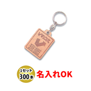 Eve オリジナルステッカー キーホルダー セット Eve オリジナルステッカー キーホルダー セット