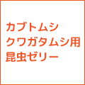 昆虫ゼリー