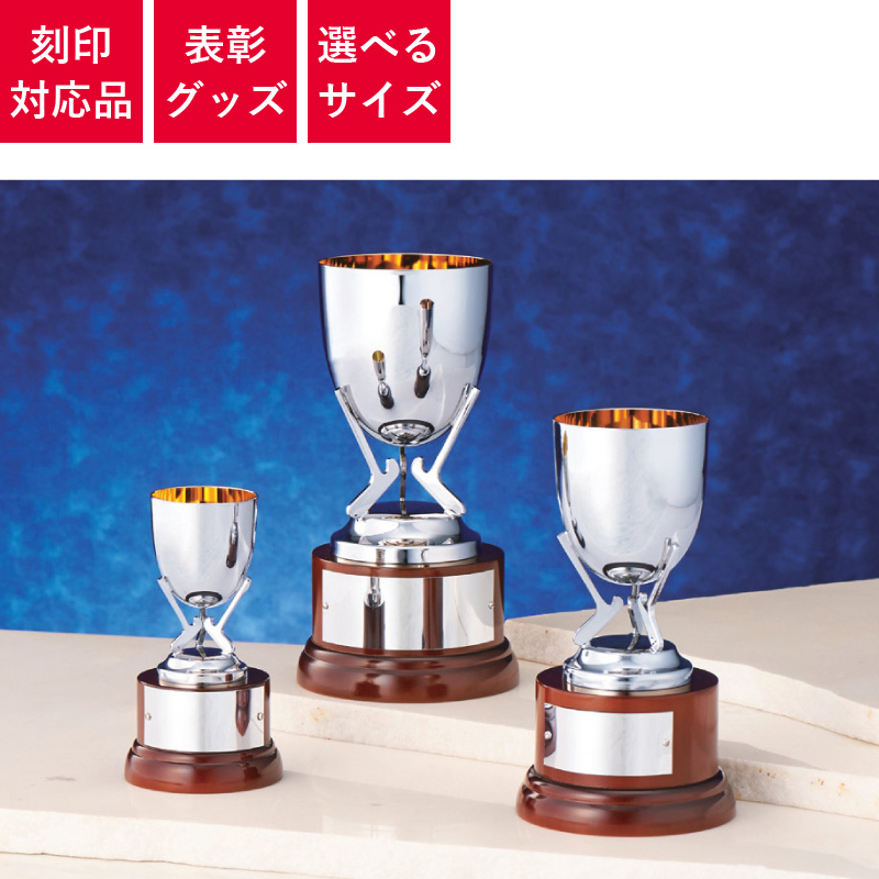 表彰グッズ