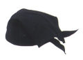 貴-8268 舞キャップ・貴印/黒
