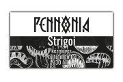 ストゥリゴィ
