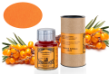R&amp;K2025年限定生産インク『sea buckthorn』シーバックソーン