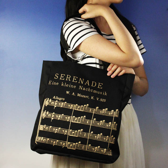 レッスンバッグ アイネクライネ 楽譜 音楽雑貨